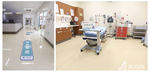 从保障组到合作方 一家医院如何通过技术交流引入全球领先诊疗技术与产品